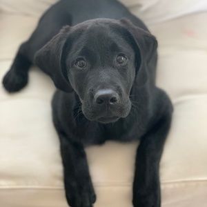 Meet your Posher, Jody